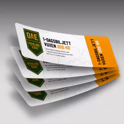 Dagbiljett (4 personer)