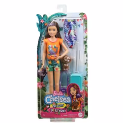 Barbie & Chelsea - The Lost Birthday