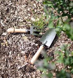 Kopia Spira Redskap plantering