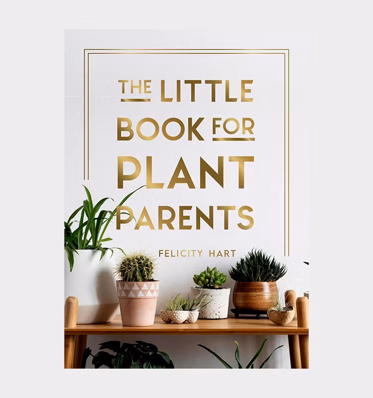 Kopia Coffe Tabel Books / Little Book for Plant Parents