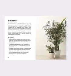 Kopia Coffe Tabel Books / Little Book for Plant Parents