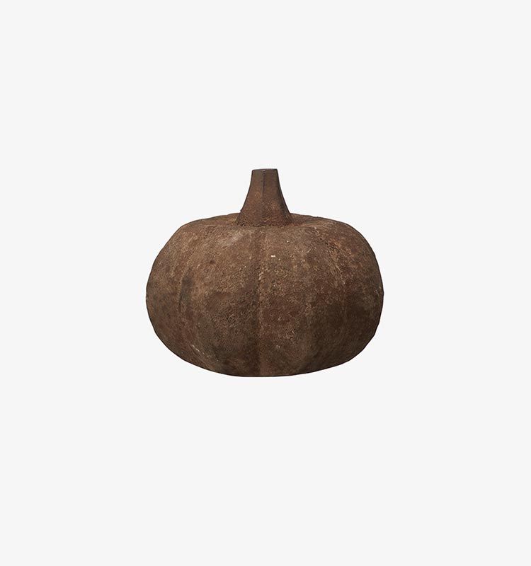 Edda pumpa Rost Stor