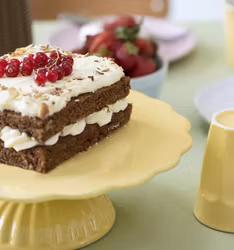 Fat på fot Mynte Lemonarde