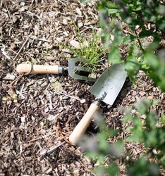Spira Redskap plantering