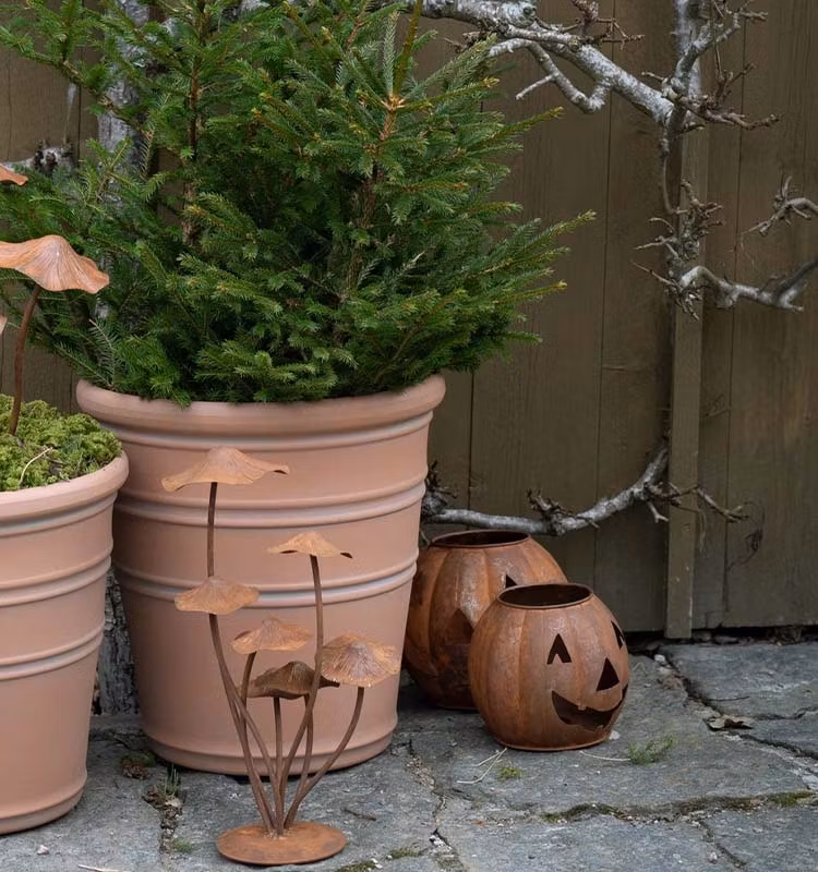 Pumpa Ljuslykta Rost Liten