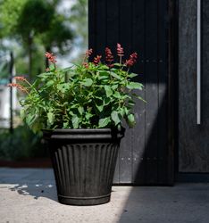 Demeri Kruka Liten för utomhus Svart