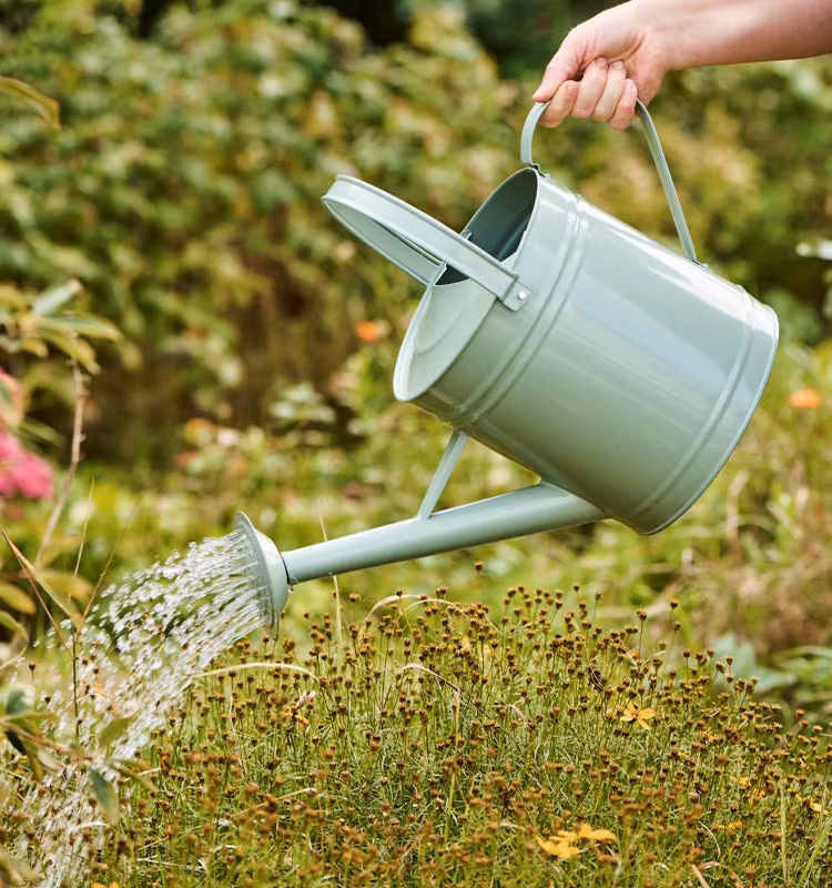 Vattenkanna Ljus Grön 6,3 L