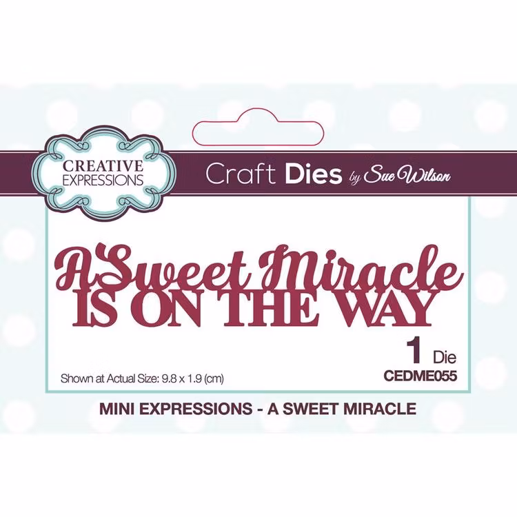 Creative Expressions • Sue Wilson a sweet miracle dies