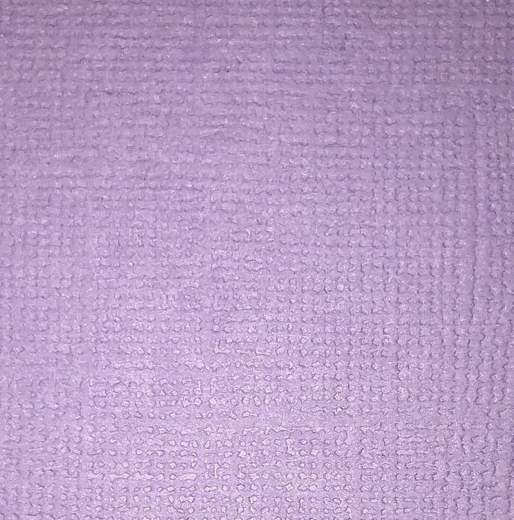 CS2645 Wisteria