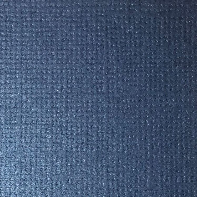 CS2955 Dark Blue