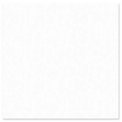 CS101 White