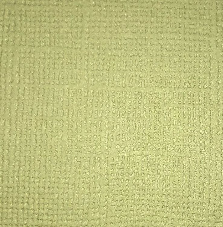 CS579 Spring green