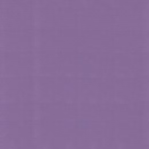 SC62 Grape