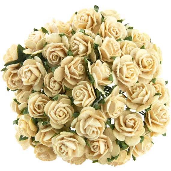 Cream mullberry rosor 10 st/ 1 cm