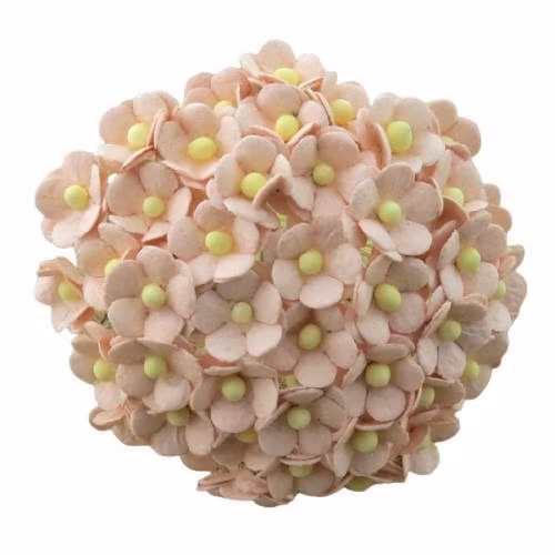 Soft pink små söta blommor 10 st / 1.5cm