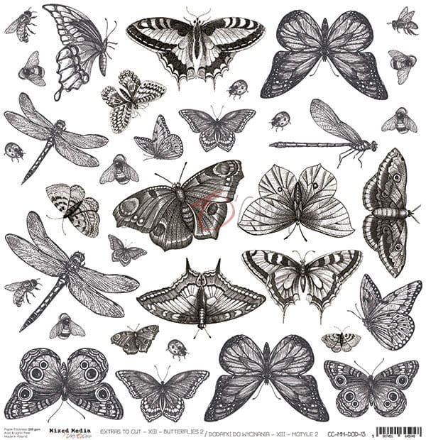 Butterflies 2