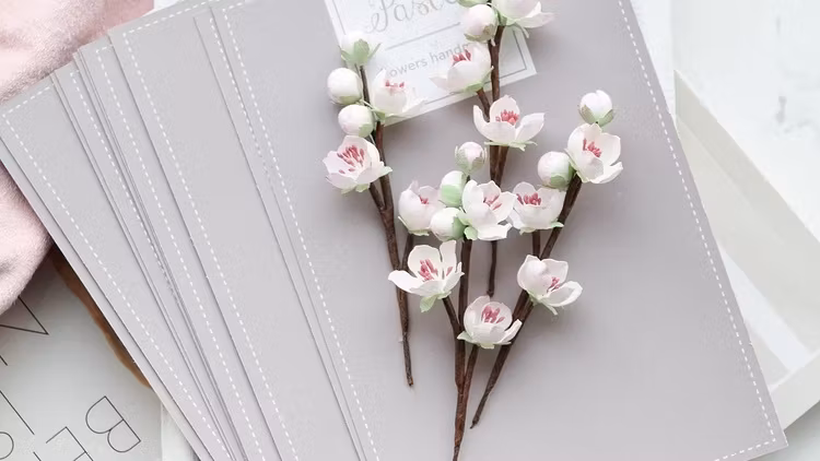Set "Cherry" BB0004