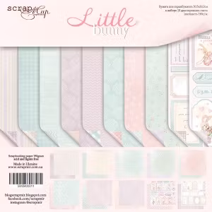 Little Bunny  SM2400011