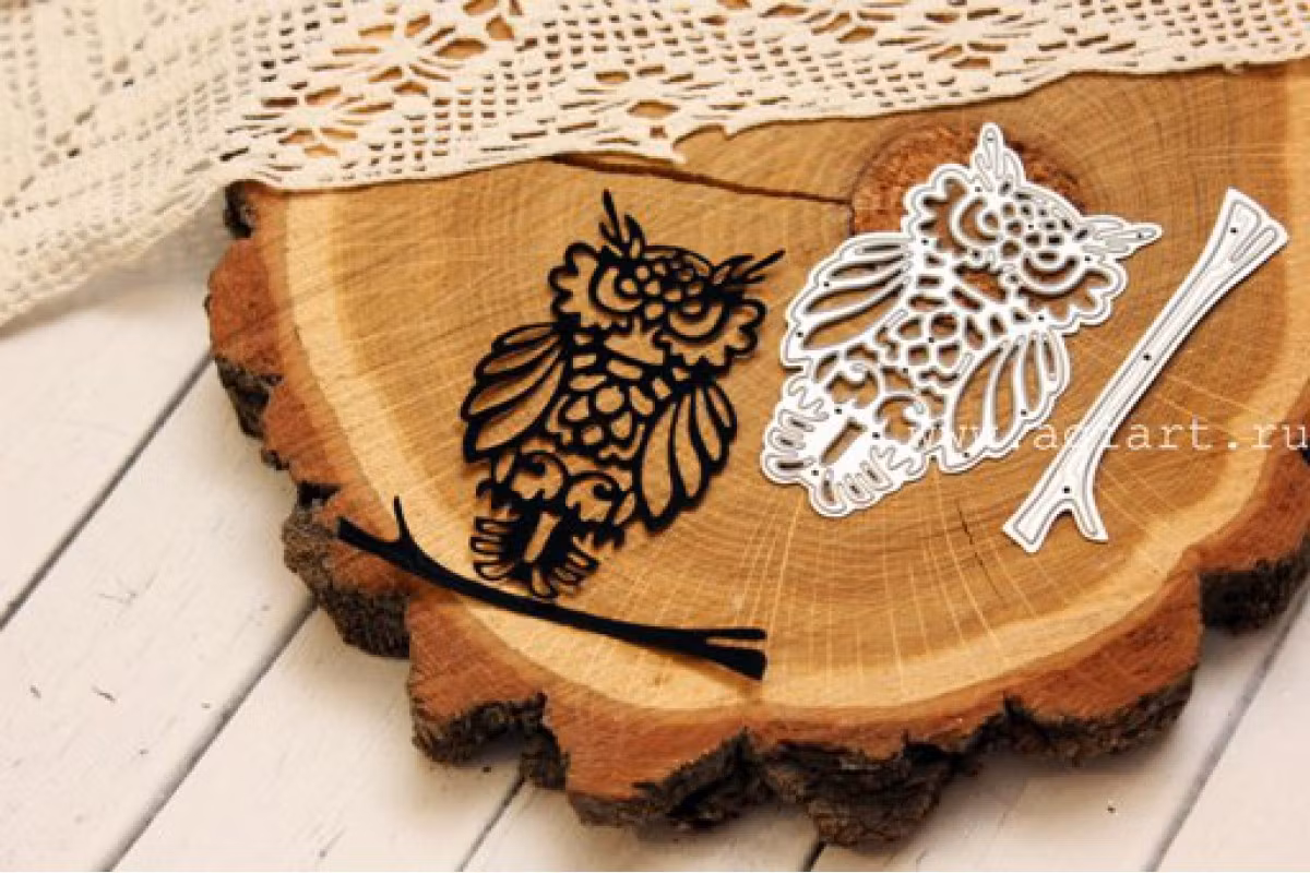 Owl on a branch agi1042