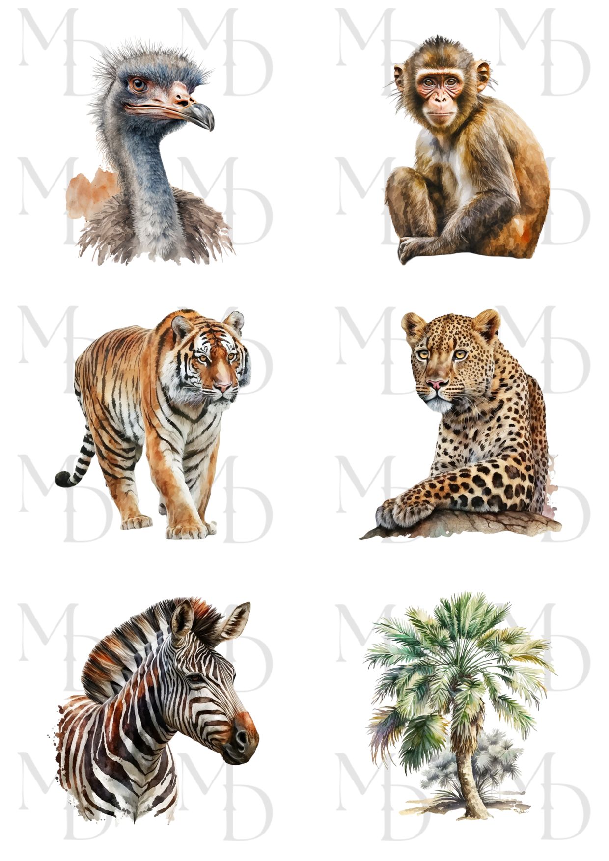 0212 Safari del1