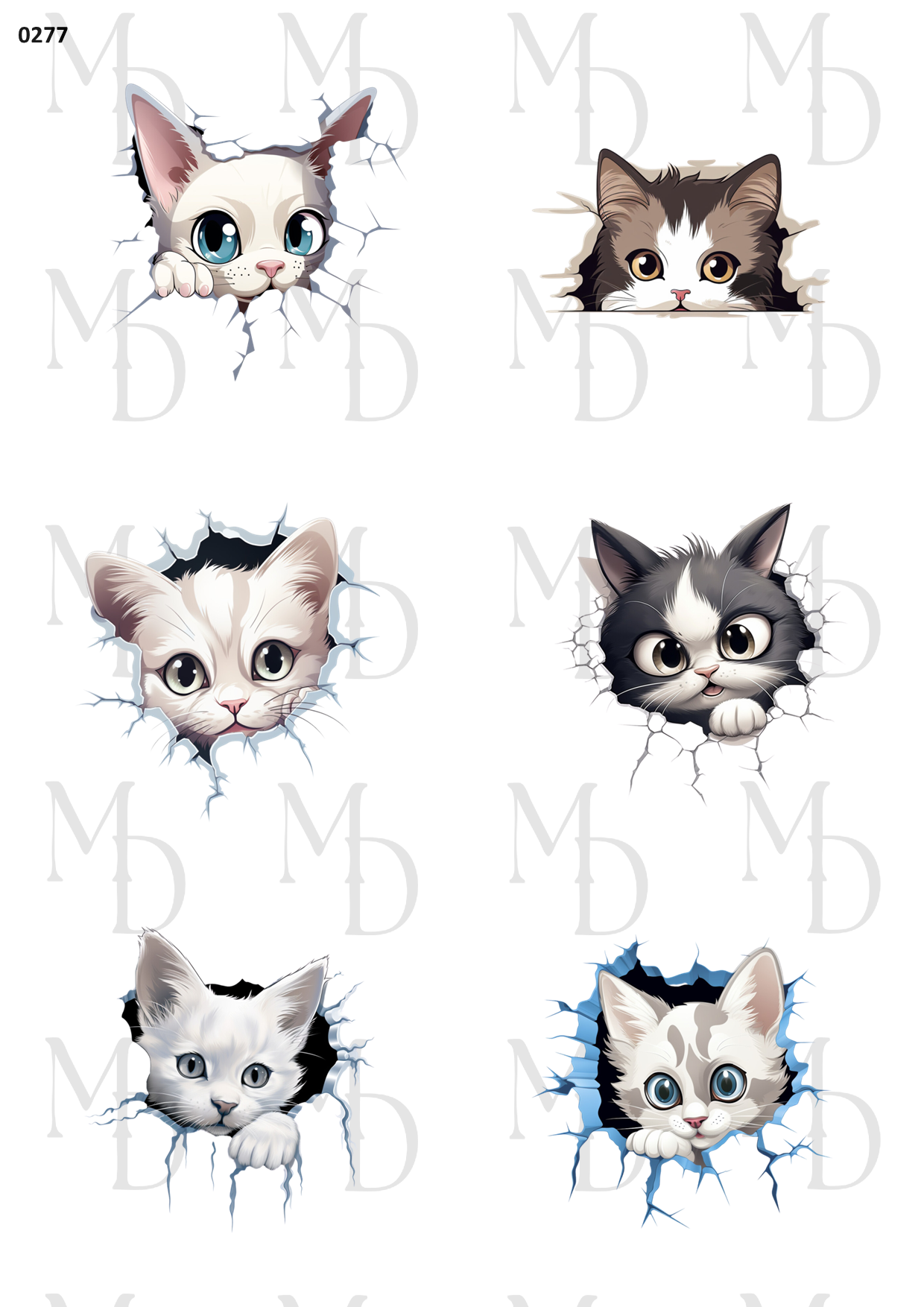 0277-MD Peek a boo kitten 02