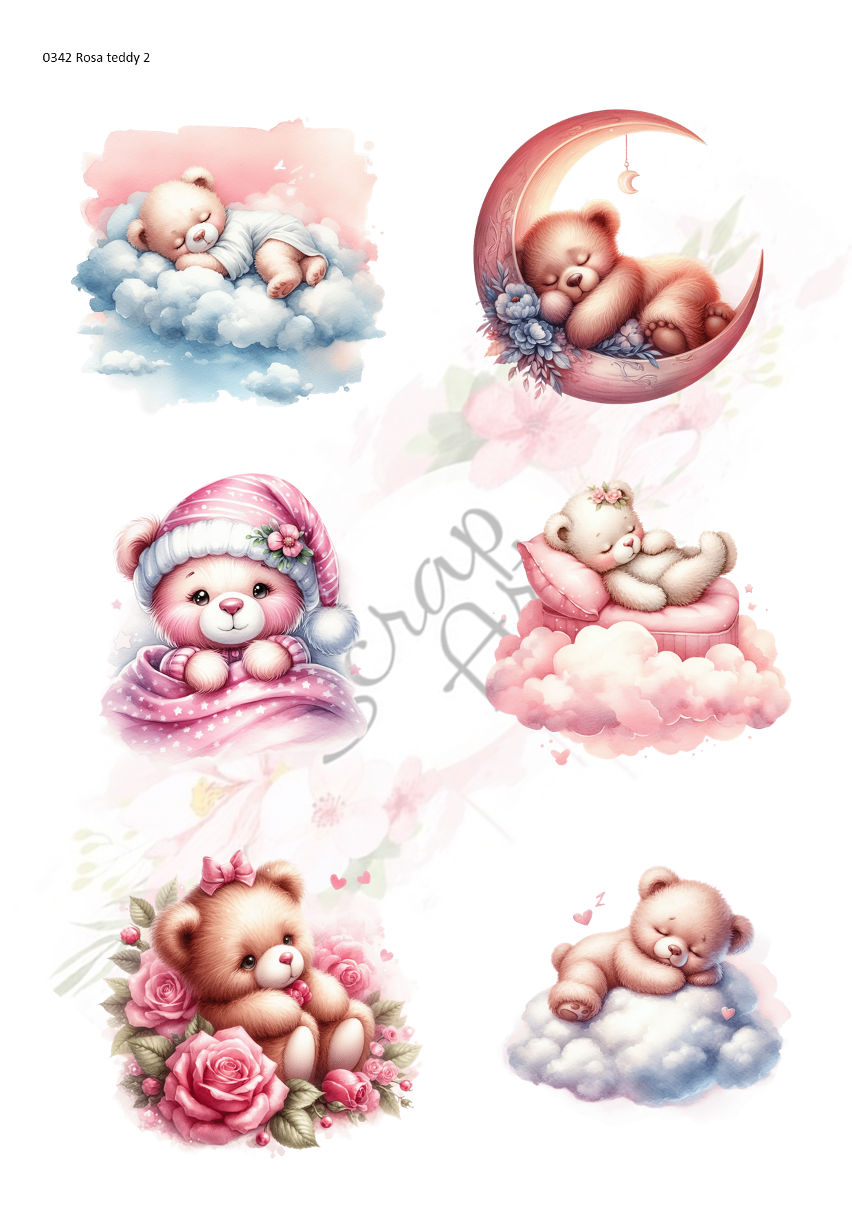 0342 Rosa Teddy 2