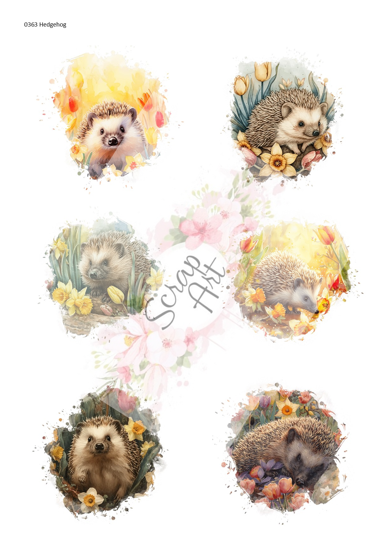 0363 Hedgegog