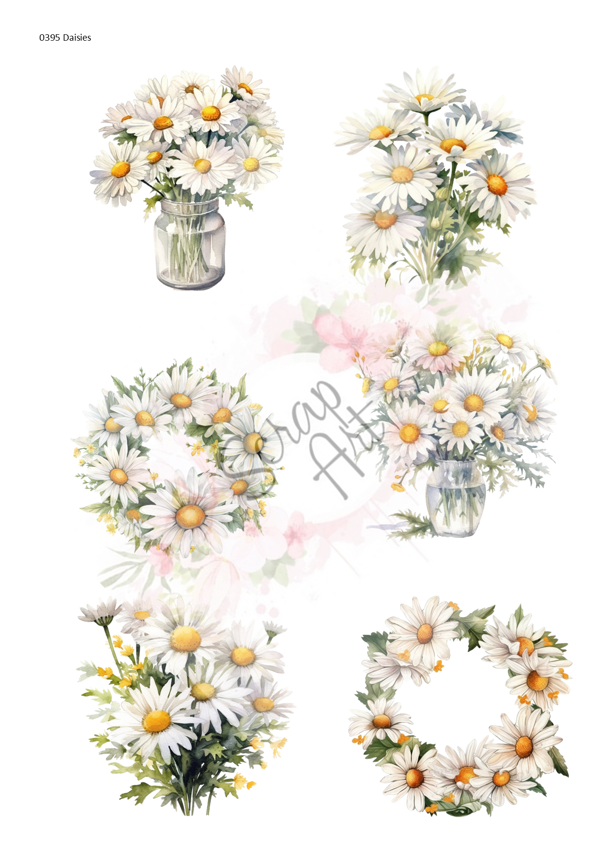 0396 Daisies