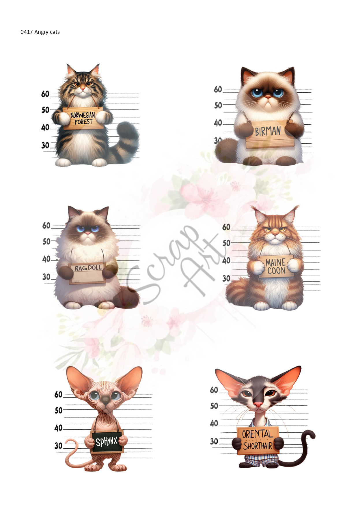 0417 Angry Cats
