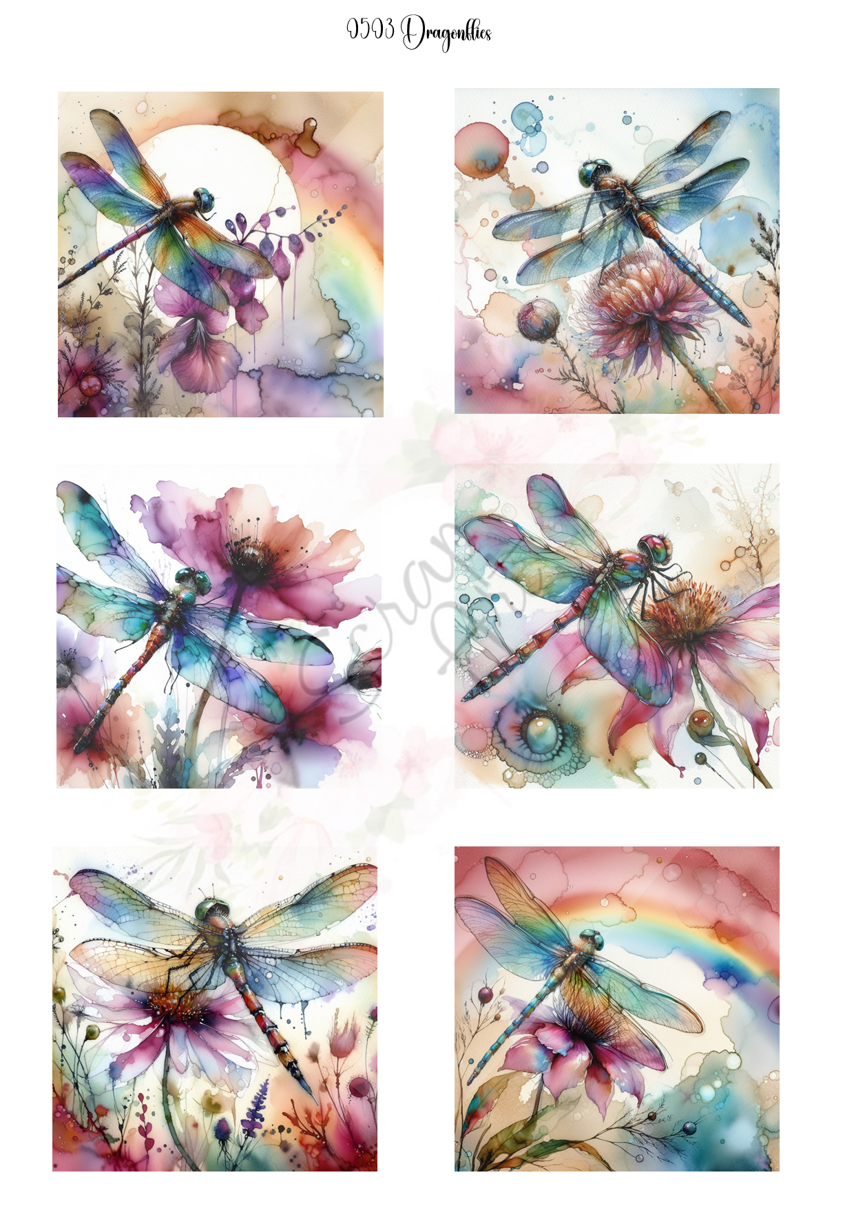503 Dragonflies