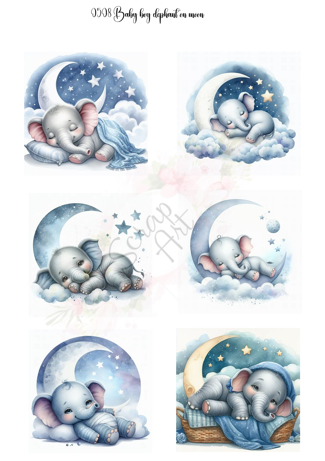 0508 baby boy elephant
