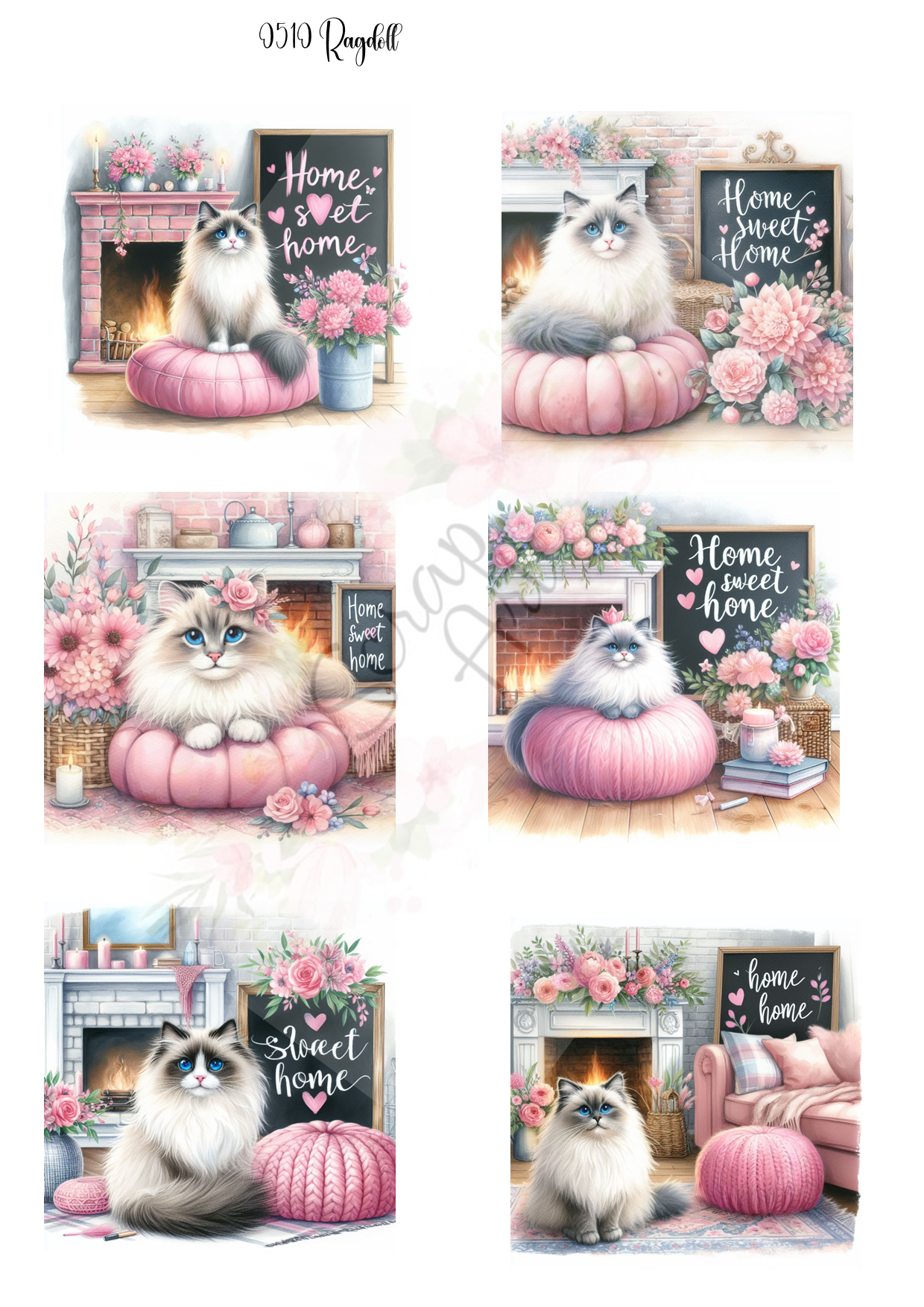0510 Ragdoll