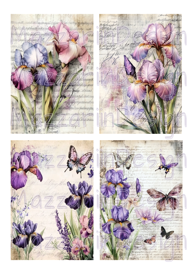 Flowers 02