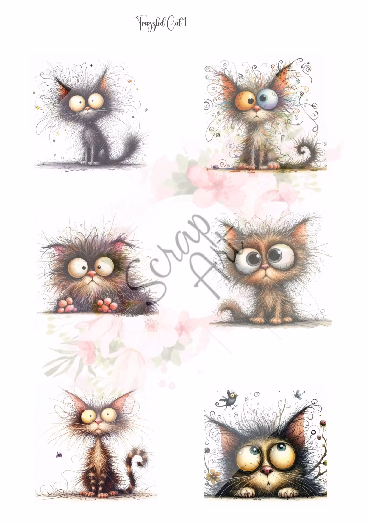 Frizzled cat 1