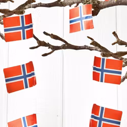 Snor med norske flagg