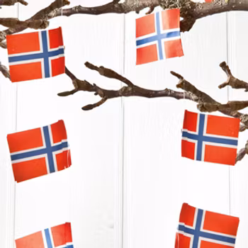 Snor med norske flagg