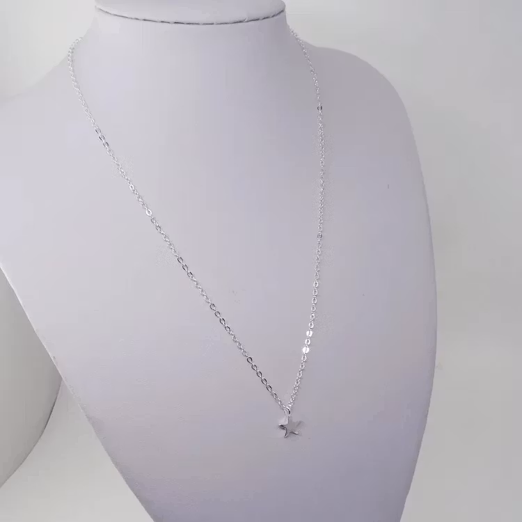 Silverfärgad Halsband med en liten stjärna och smal kedja på en vit display