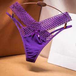 Purple Panties with Mesh & Bow – Sexy & Elegant Design