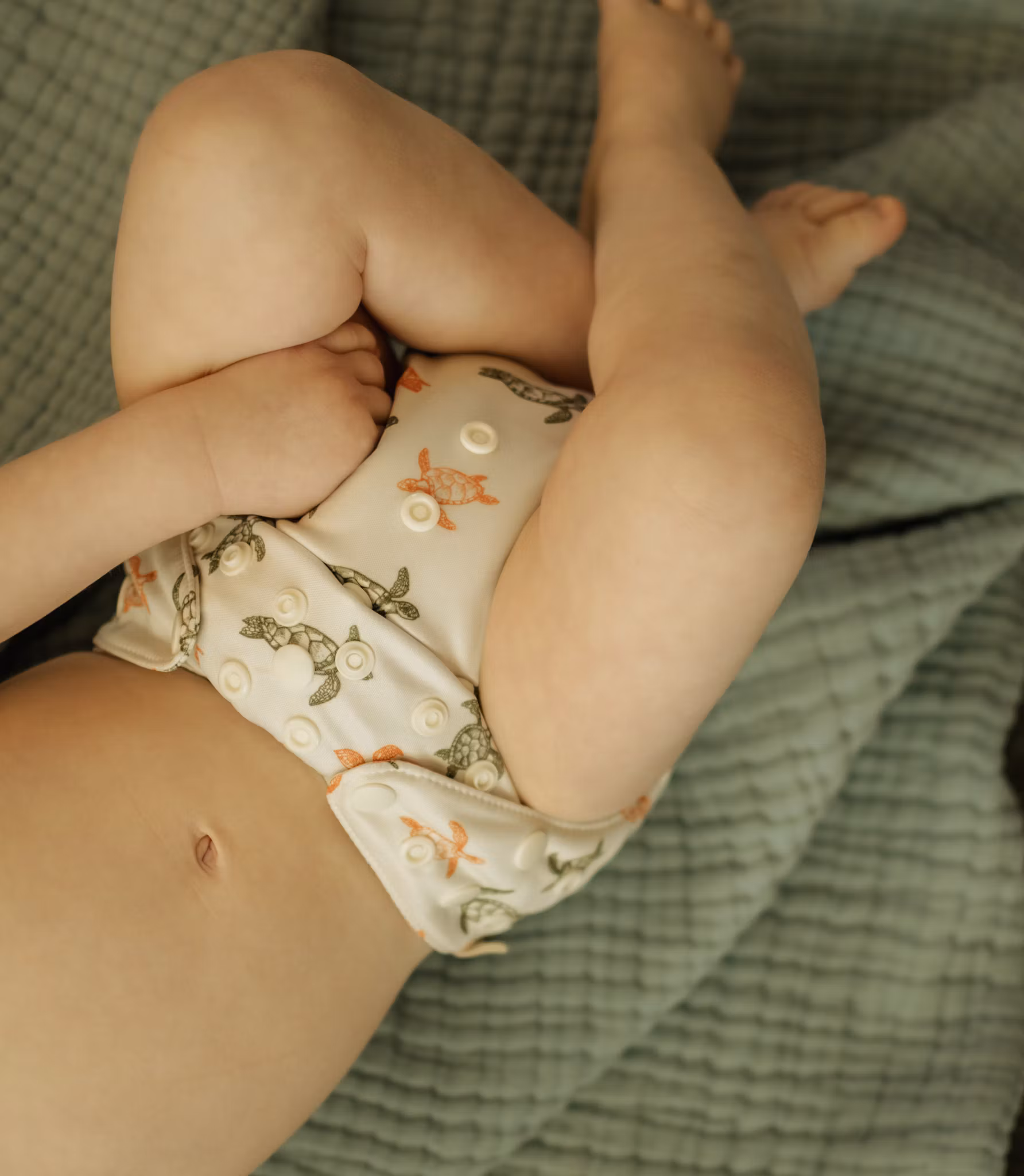 Tots & Turdle - Pocket/Ai2, coolmax