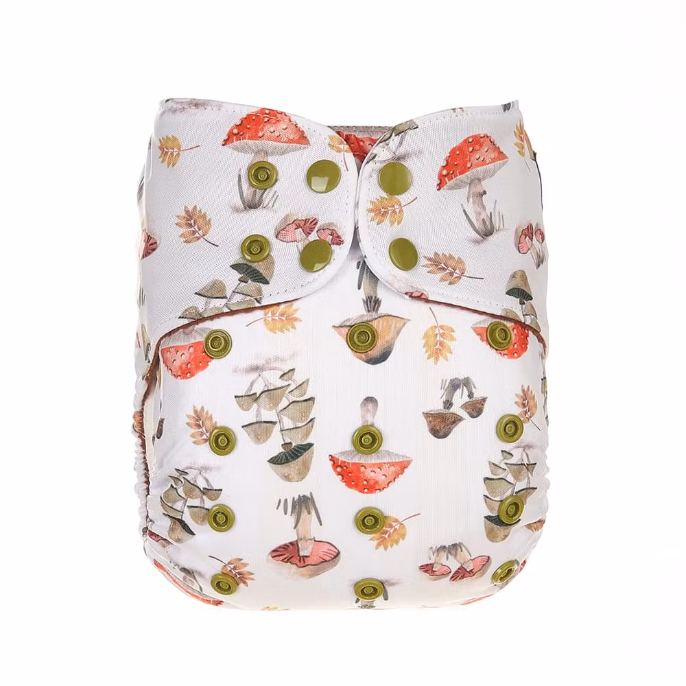 Bells Bumz AIO, OS