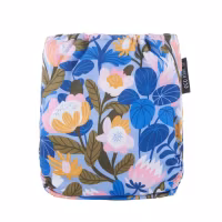 Eco Mini - AIO/Ai2/Pocket OS inkl inlägg