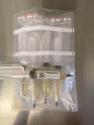 Flytande mycel Pioppino 20ml