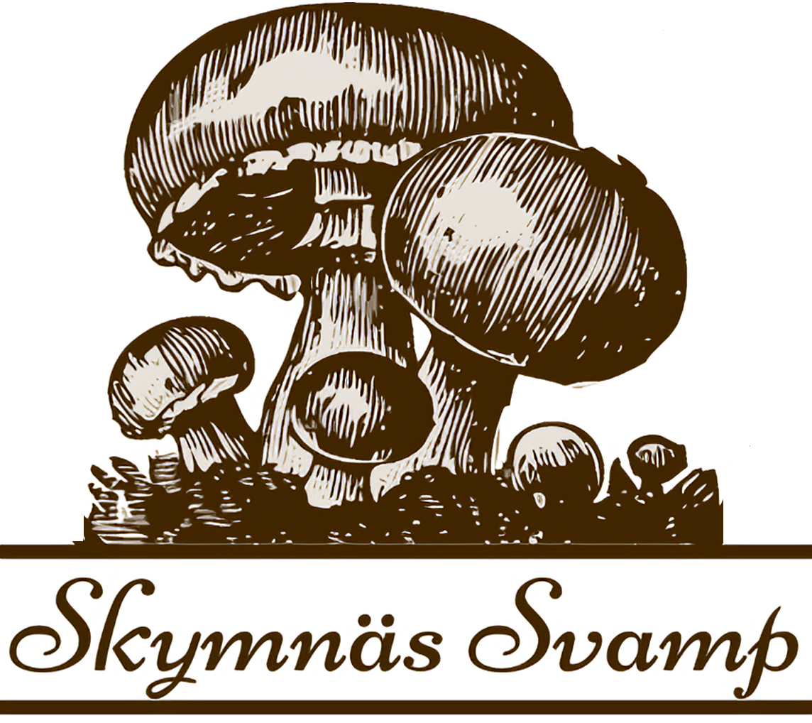Skymnäs Svamp