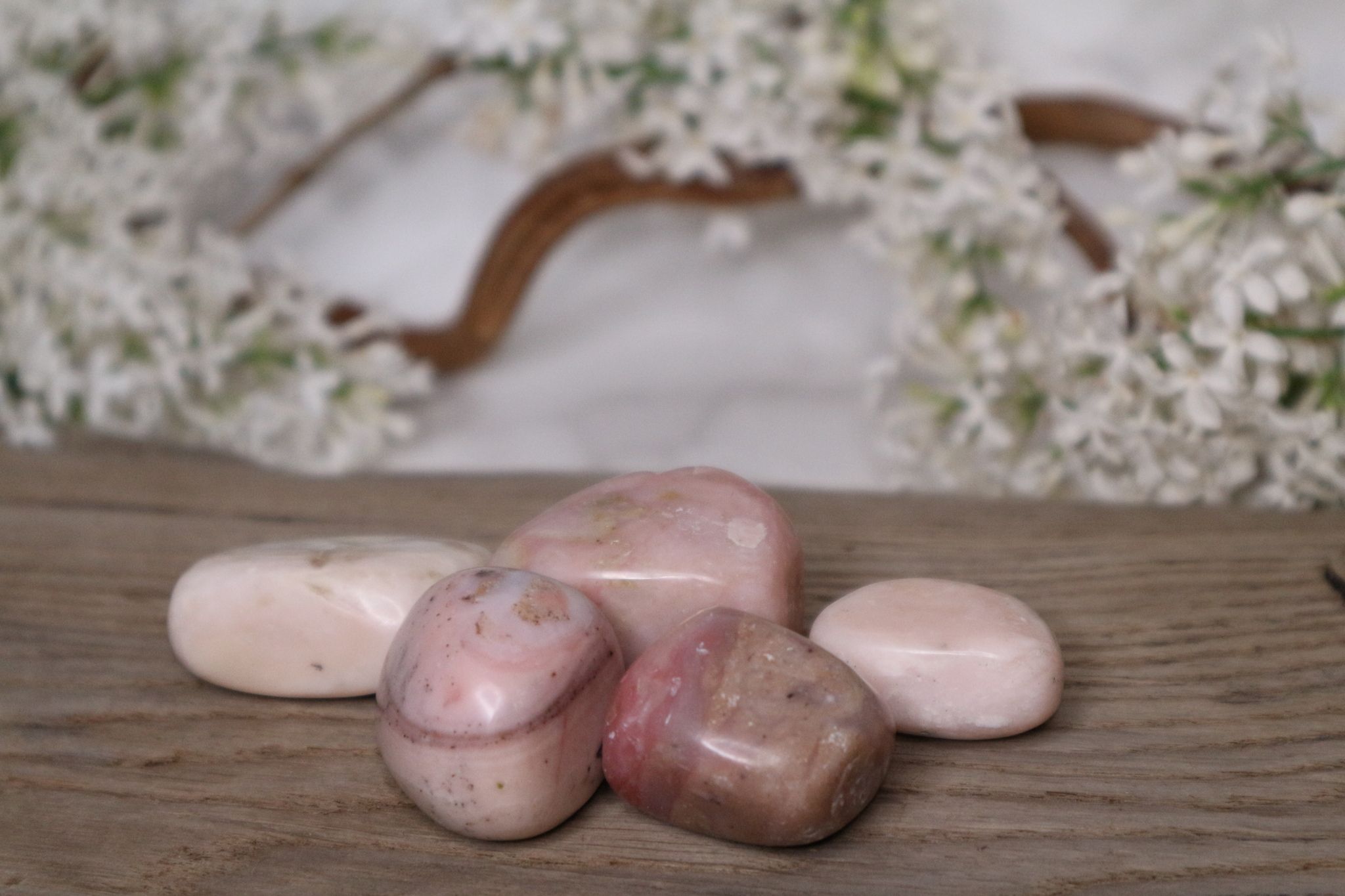 Rosa Opal Stor