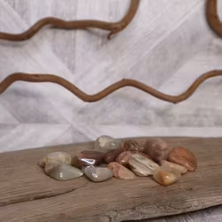 Persikofärgad Månsten