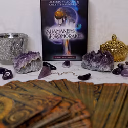 Shamanens Drömorakel