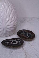 Septaria Skiva Par