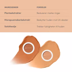 Enlighten Concealer - 2