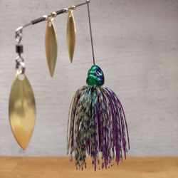 Special Junebug - Limited Edition - Abborre