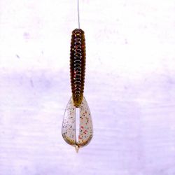 Scum Gill - Rocket Bug 8,9cm